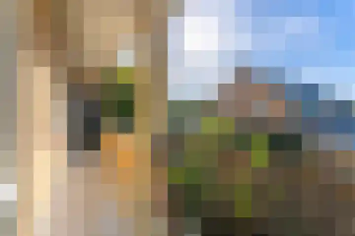 Colenso 64 Soest thumbnail 26