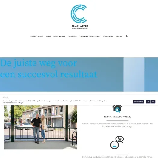Screenshot der Website von www.colijnadvies.nl