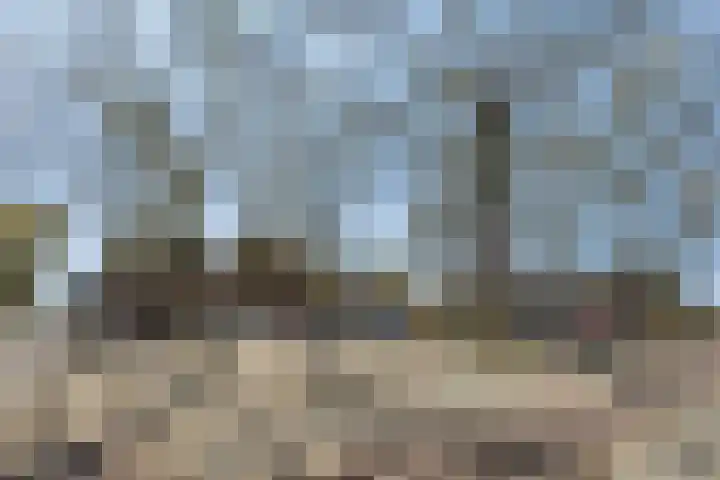 Colijnstraat 1 Breda thumbnail 27
