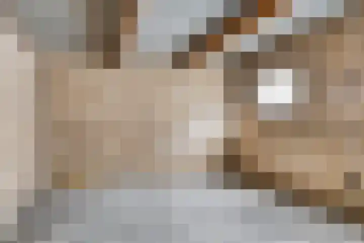 Colijnstraat 1 Oss thumbnail 21