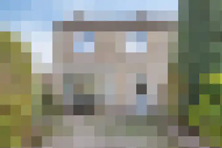 Colijnstraat 1 Oss thumbnail 24