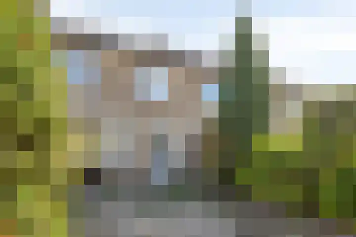 Colijnstraat 1 Oss thumbnail 25
