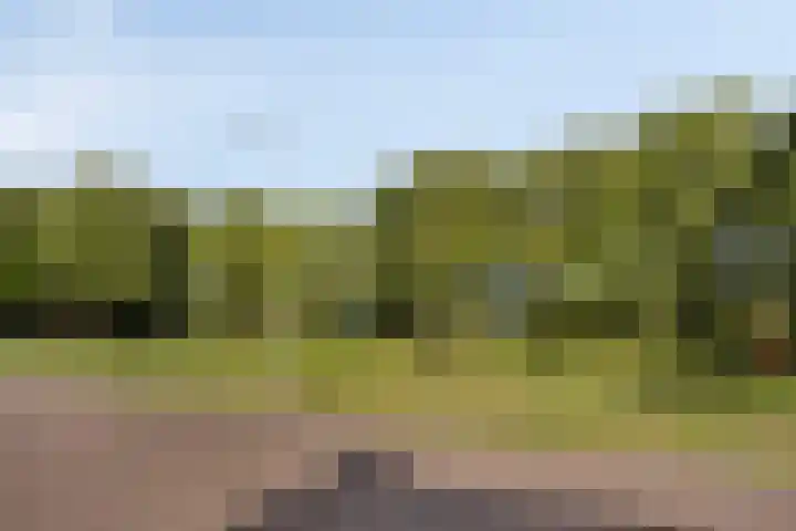Colijnstraat 1 Oss thumbnail 26