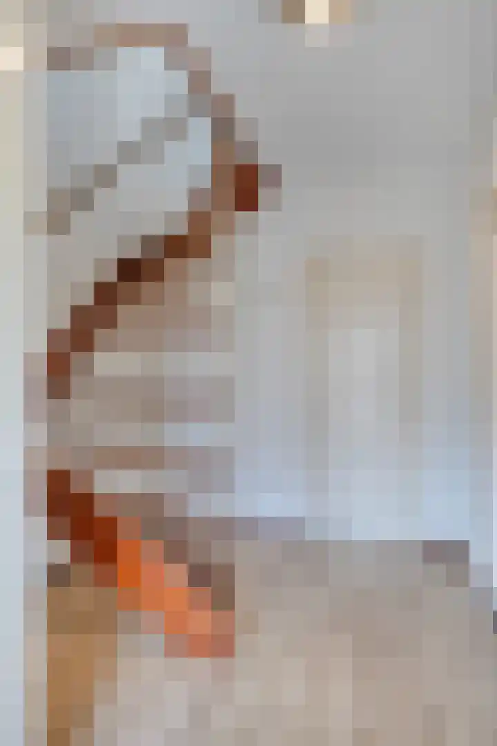 Colijnstraat 1 Oss thumbnail 4