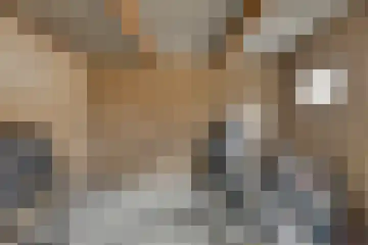 Colijnstraat 13 Oss thumbnail 22