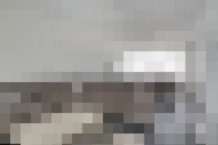 Colijnstraat 13 Oss thumbnail 34