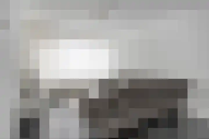 Colijnstraat 13 Oss thumbnail 4