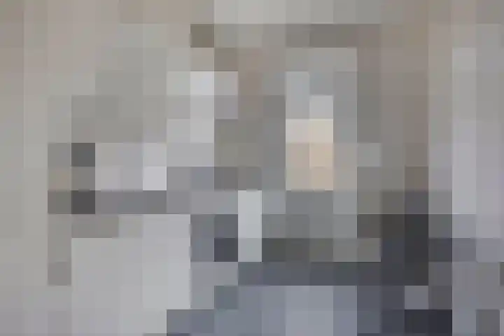 Colijnstraat 13 Oss thumbnail 7