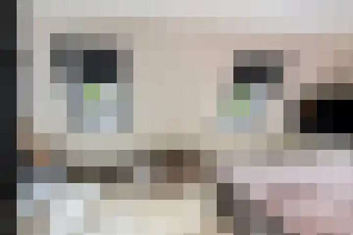 Colijnstraat 2 Naaldwijk thumbnail 15