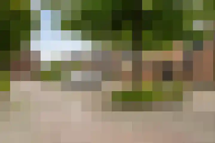 Colijnstraat 2 Naaldwijk thumbnail 29