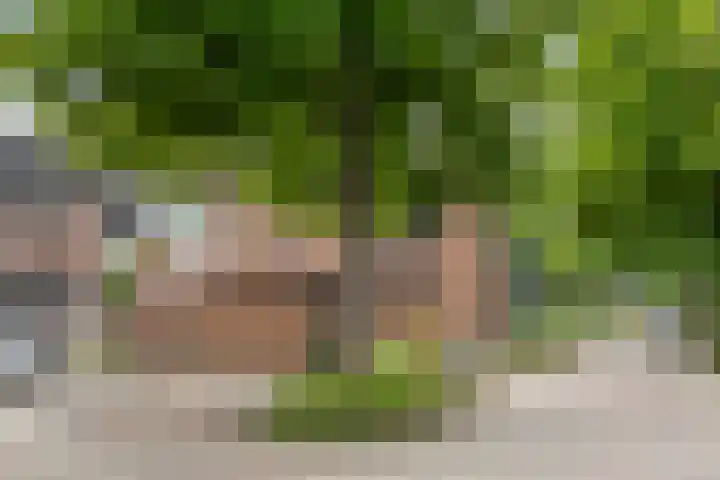 Colijnstraat 2 Naaldwijk thumbnail 30