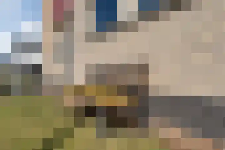 Collendoorn 21 Raalte thumbnail 10