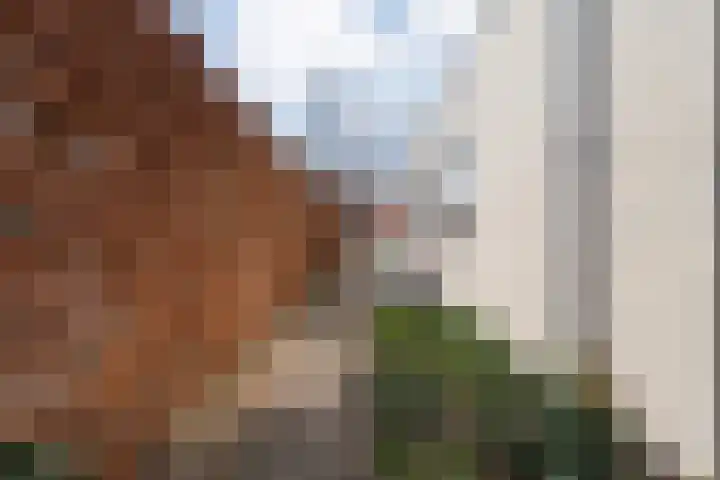 Collendoorn 21 Raalte thumbnail 43
