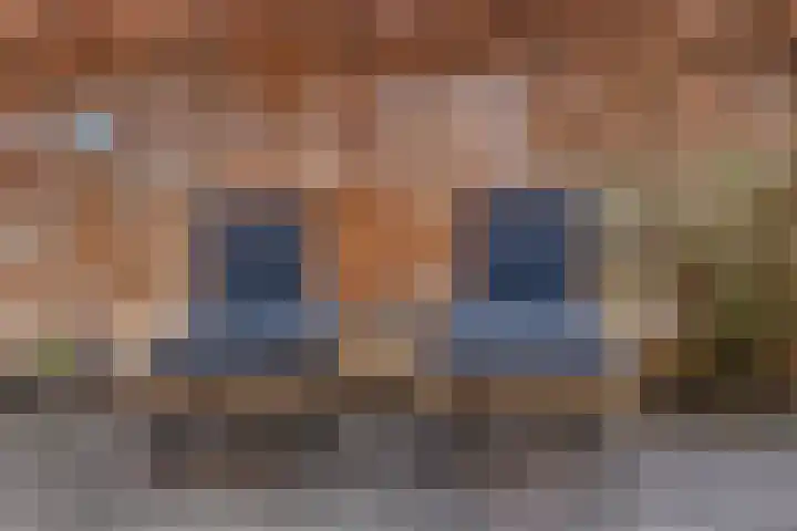 Collendoorn 21 Raalte thumbnail 44
