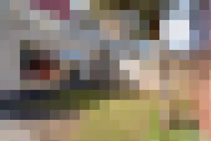 Collendoorn 21 Raalte thumbnail 47