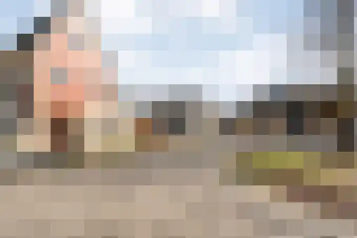 Collendoorn 21 Raalte thumbnail 7
