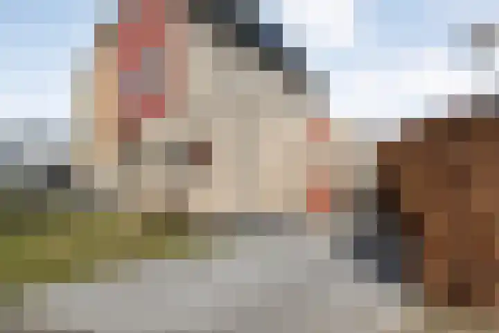 Collendoorn 21 Raalte thumbnail 8