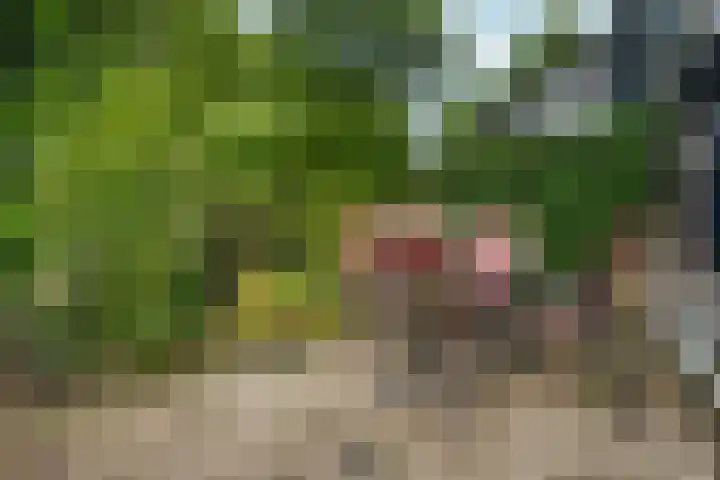 Collenkamp 8 Zevenaar thumbnail 33