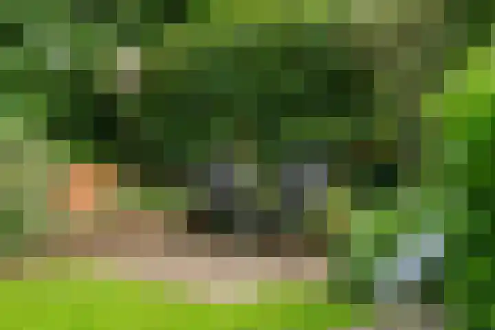 Collenkamp 8 Zevenaar thumbnail 36