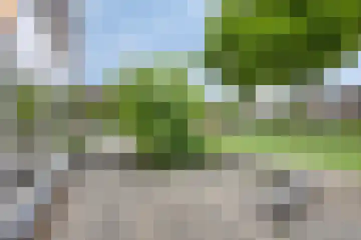 Collinshof 8 IJsselstein thumbnail 29