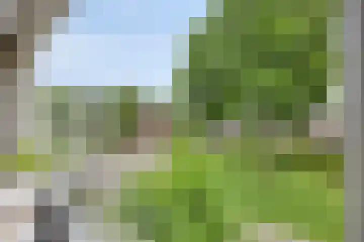 Collinshof 8 IJsselstein thumbnail 9