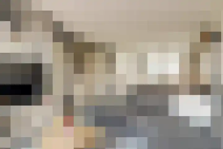 Colman 4 De Lier thumbnail 11