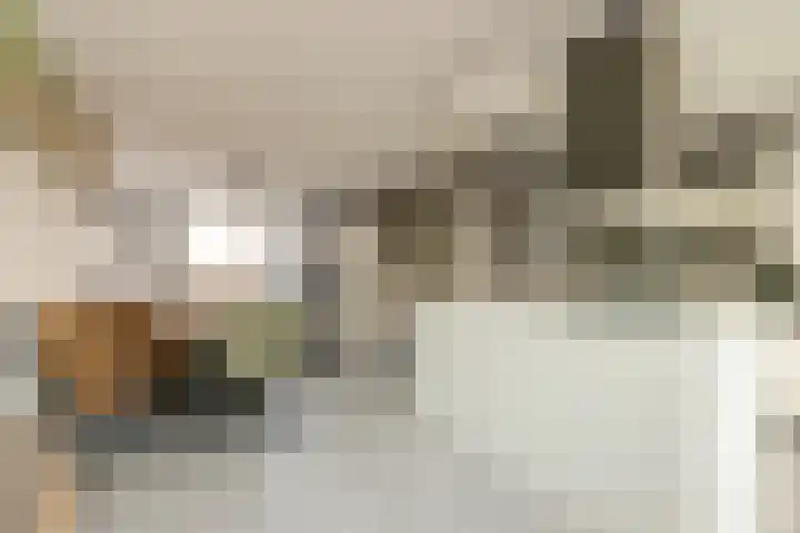Colman 4 De Lier thumbnail 12