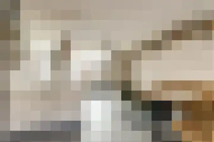 Colman 4 De Lier thumbnail 13
