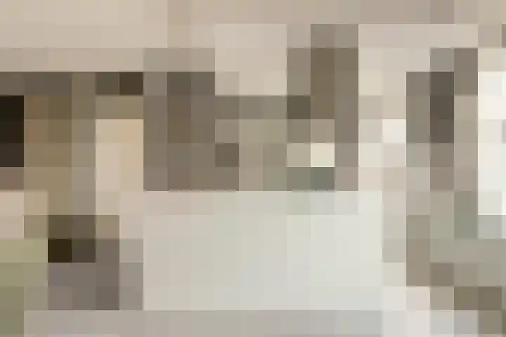 Colman 4 De Lier thumbnail 14