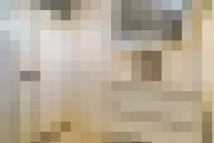 Colman 4 De Lier thumbnail 24