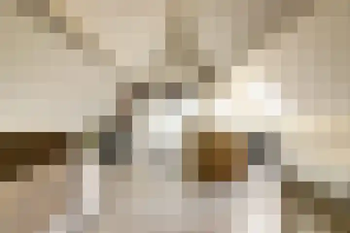 Colman 4 De Lier thumbnail 26
