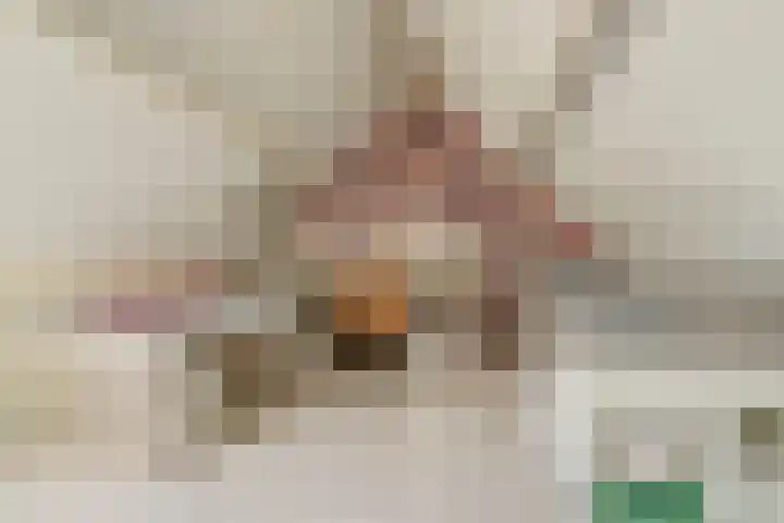 Colman 4 De Lier thumbnail 27