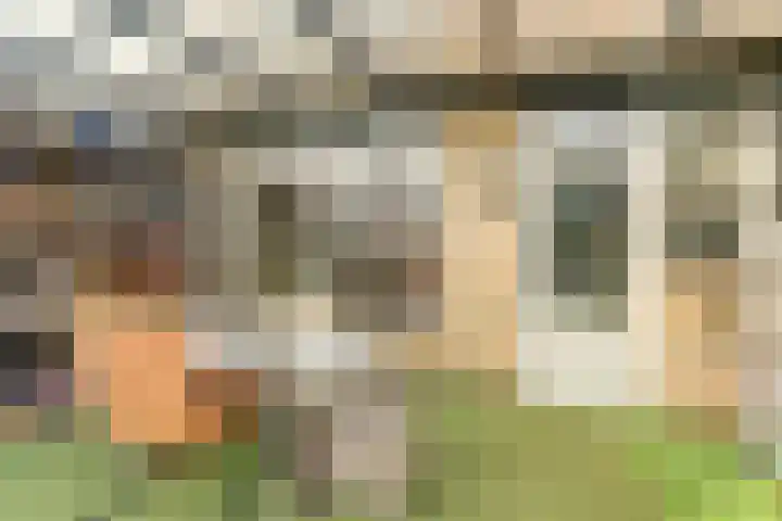 Colman 4 De Lier thumbnail 28