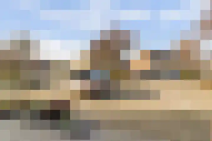 Colman 4 De Lier thumbnail 31