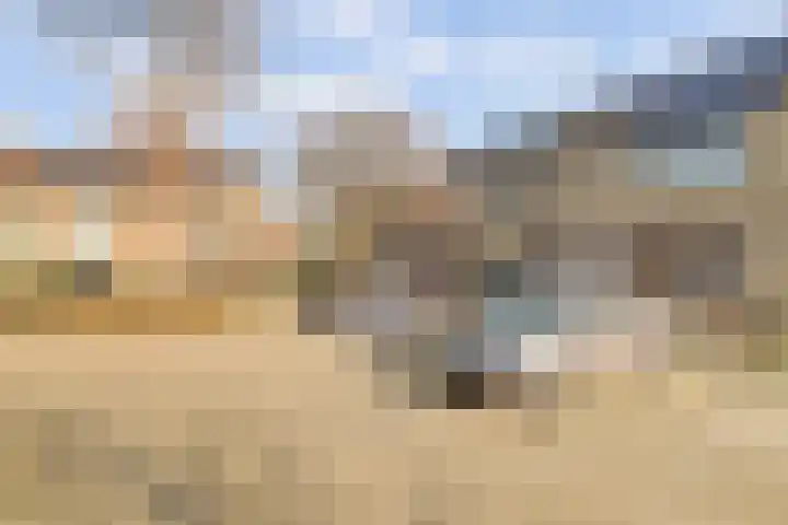 Colman 4 De Lier thumbnail 33