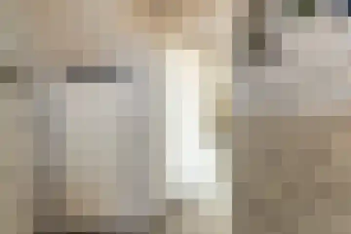 Colman 4 De Lier thumbnail 9
