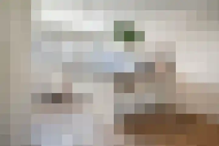 Colorado 16 Amstelveen thumbnail 13