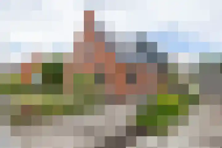 Colpende 4 B Middelstum