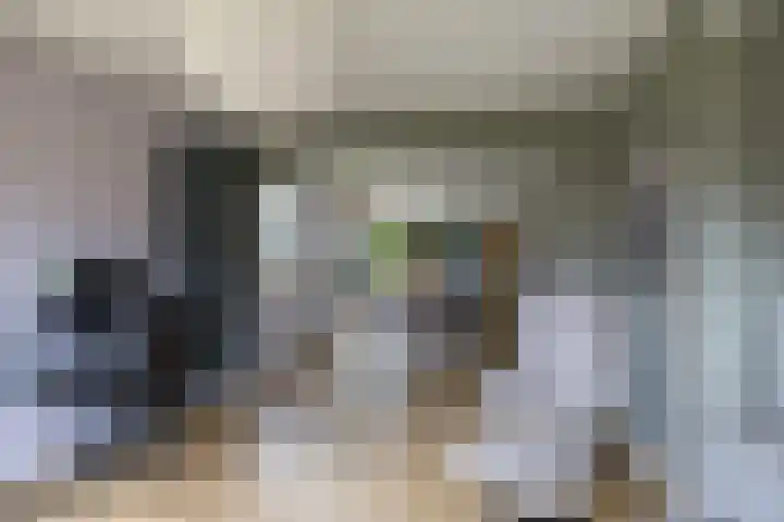 Colpende 4 B Middelstum thumbnail 13