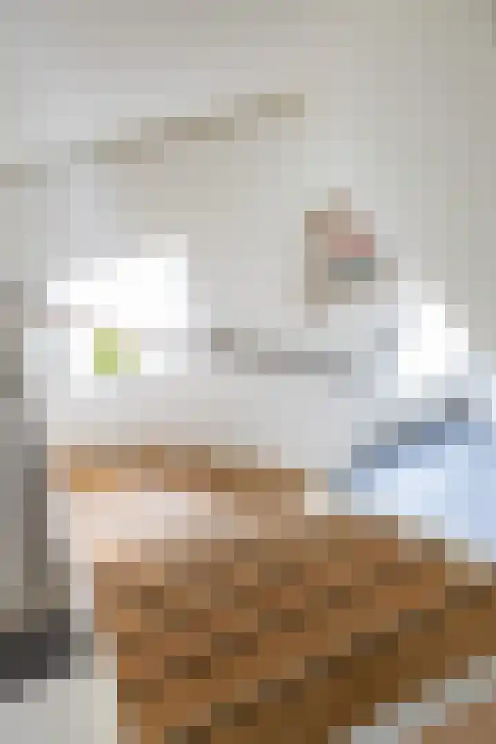 Colpende 4 B Middelstum thumbnail 29