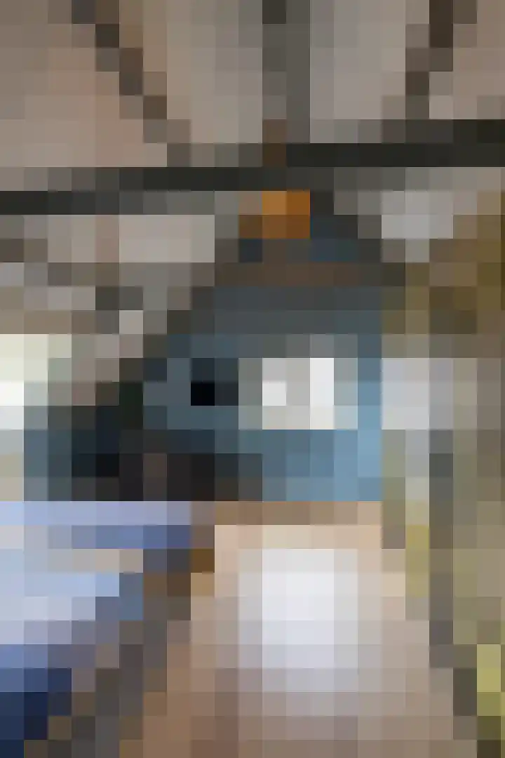 Colpende 4 B Middelstum thumbnail 34