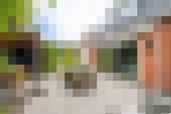 Colpende 4 B Middelstum thumbnail 4