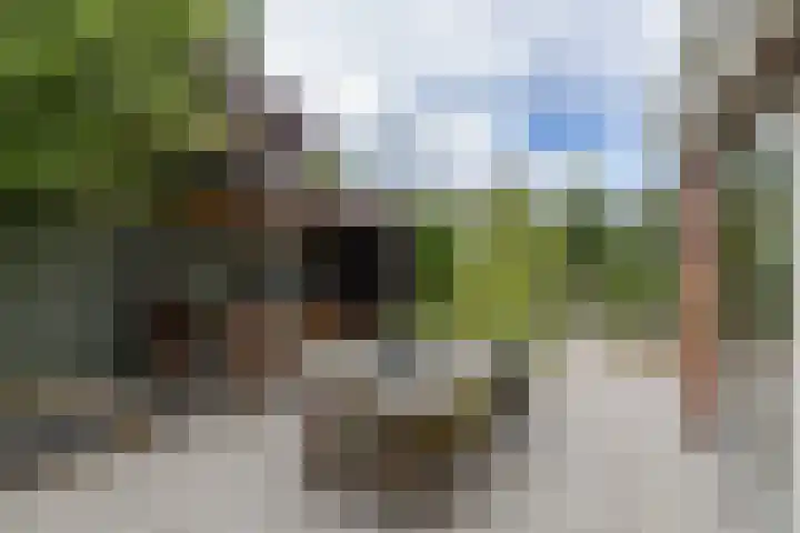 Colpende 4 B Middelstum thumbnail 49