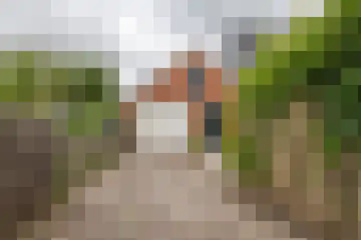 Colpende 4 B Middelstum thumbnail 5