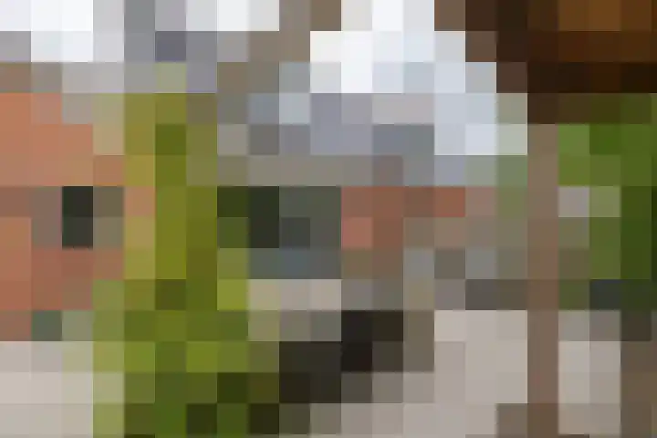 Colpende 4 B Middelstum thumbnail 51