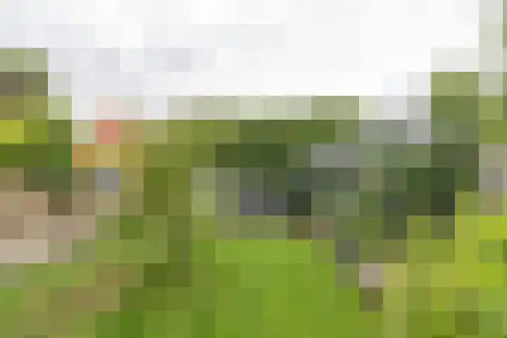 Colpende 4 B Middelstum thumbnail 54
