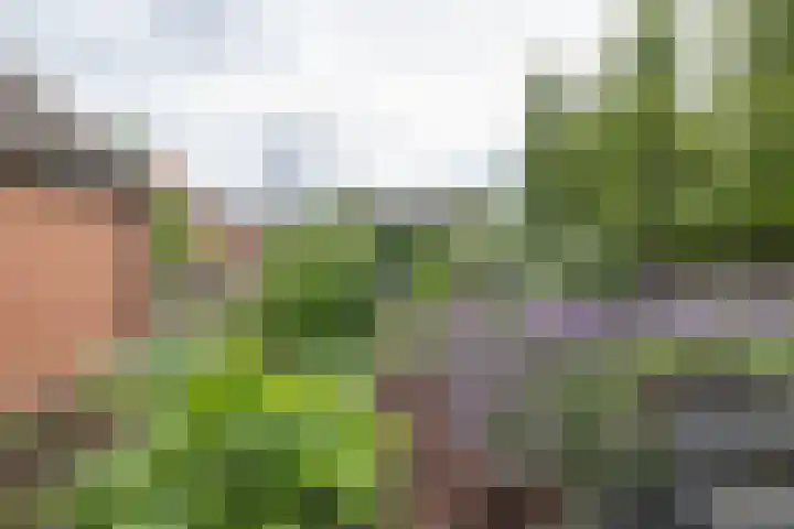 Colpende 4 B Middelstum thumbnail 56