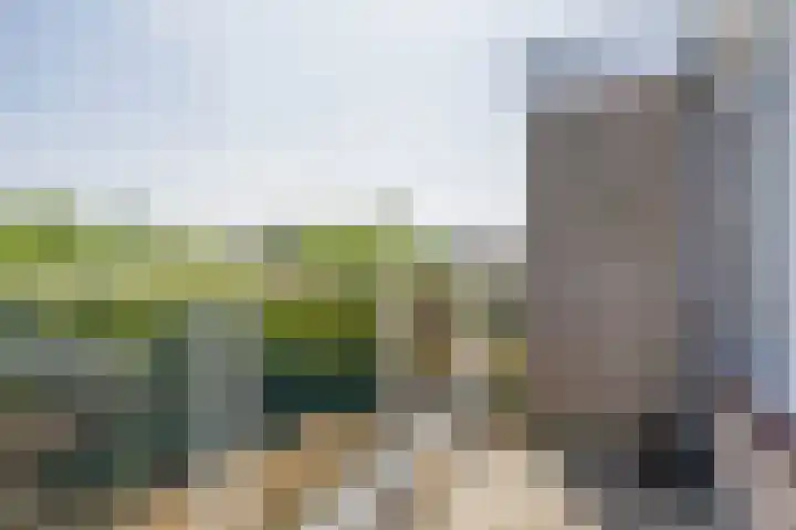 Columbusrede 68 Zoetermeer thumbnail 18