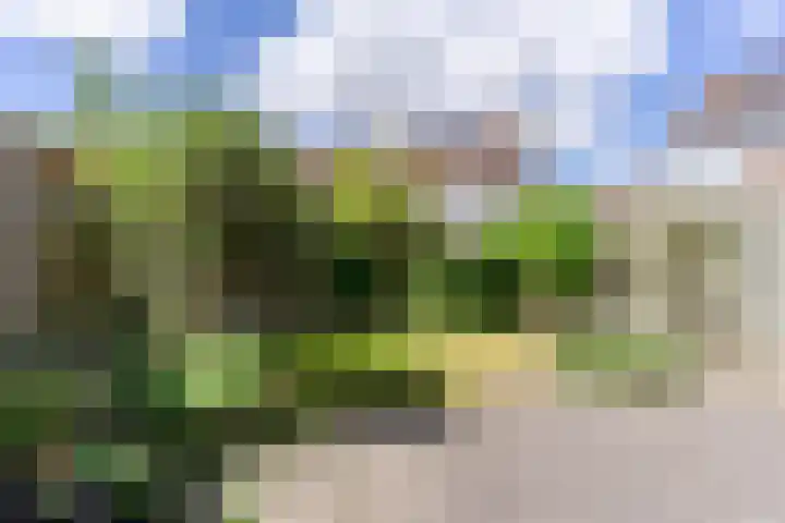 Combinatiepolder 74 's-Hertogenbosch thumbnail 31