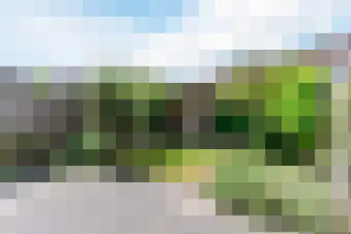Combinatiepolder 74 's-Hertogenbosch thumbnail 34